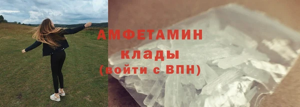 гидра Михайловск