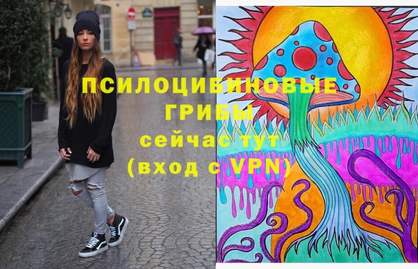 соль ск Михайлов