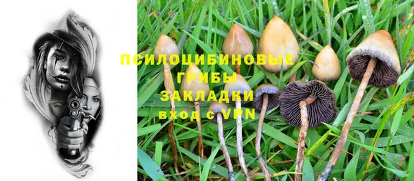 гашик Наволоки