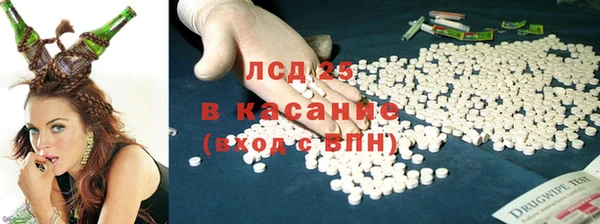 гидра Михайловск