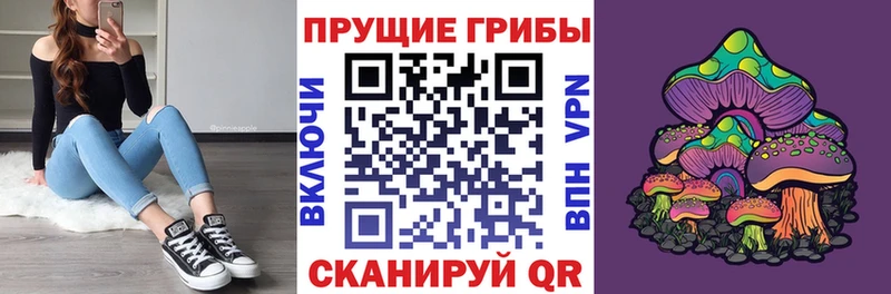 Галлюциногенные грибы Psilocybe Майский