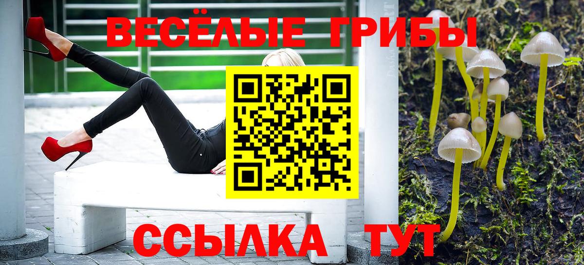 сколько стоит  Галлюциногенные грибы мицелий  Вход с VPN  Галлюциногенные грибы Cubensis  Майский 