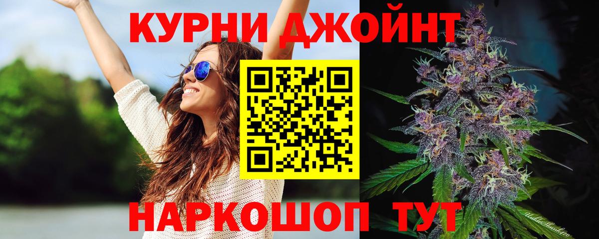 Конопля сатива Майский